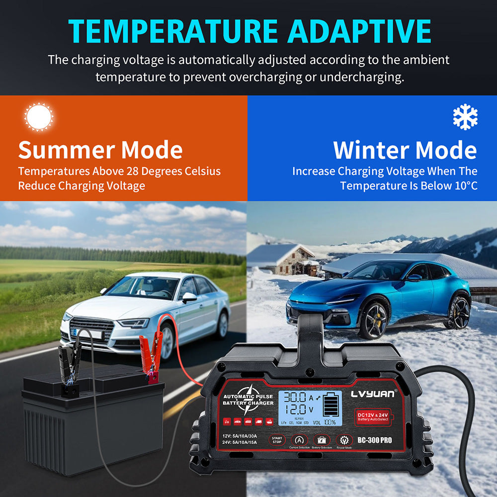 High-Efficiency 250W Charger – Compatible with 12V/24V Lithium/Lead-Acid, Fault Diagnosis & Durable Housing